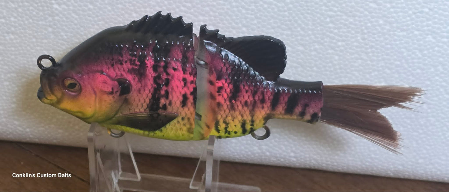 CCB Custom Painted 5 inch Gill (Copy)