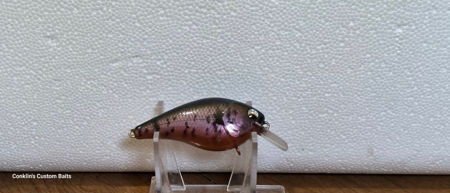 CCB 1.5