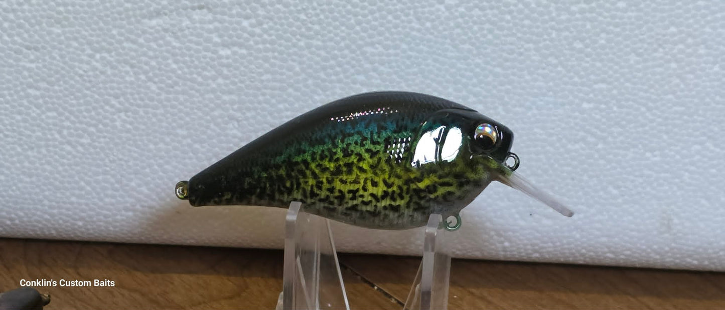 CCB 2.5