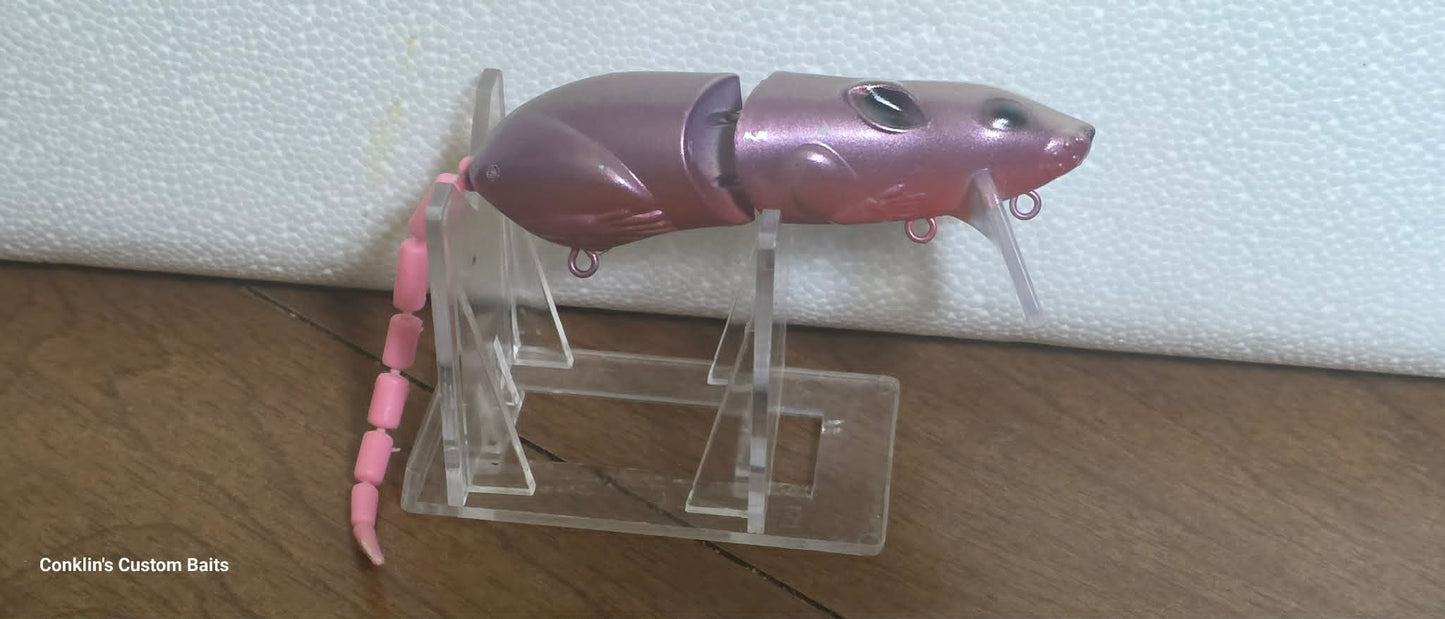Custom Painted Wake Rat