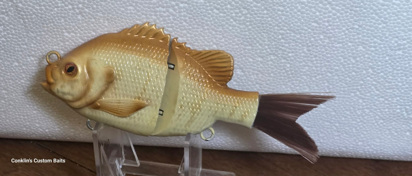 CCB Custom Painted 5 inch Gill