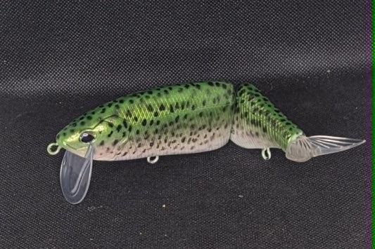 CCB Klash in Rainbow Trout