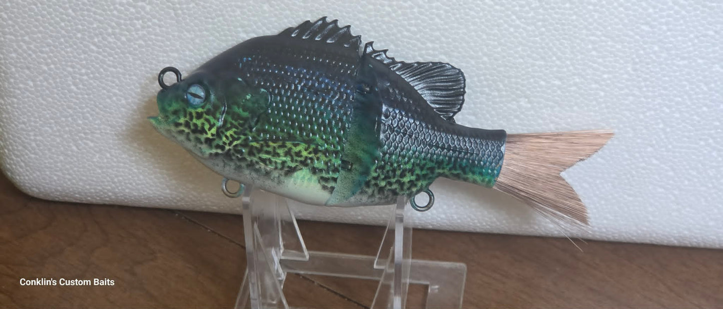 CCB Custom Painted 5 inch Gill