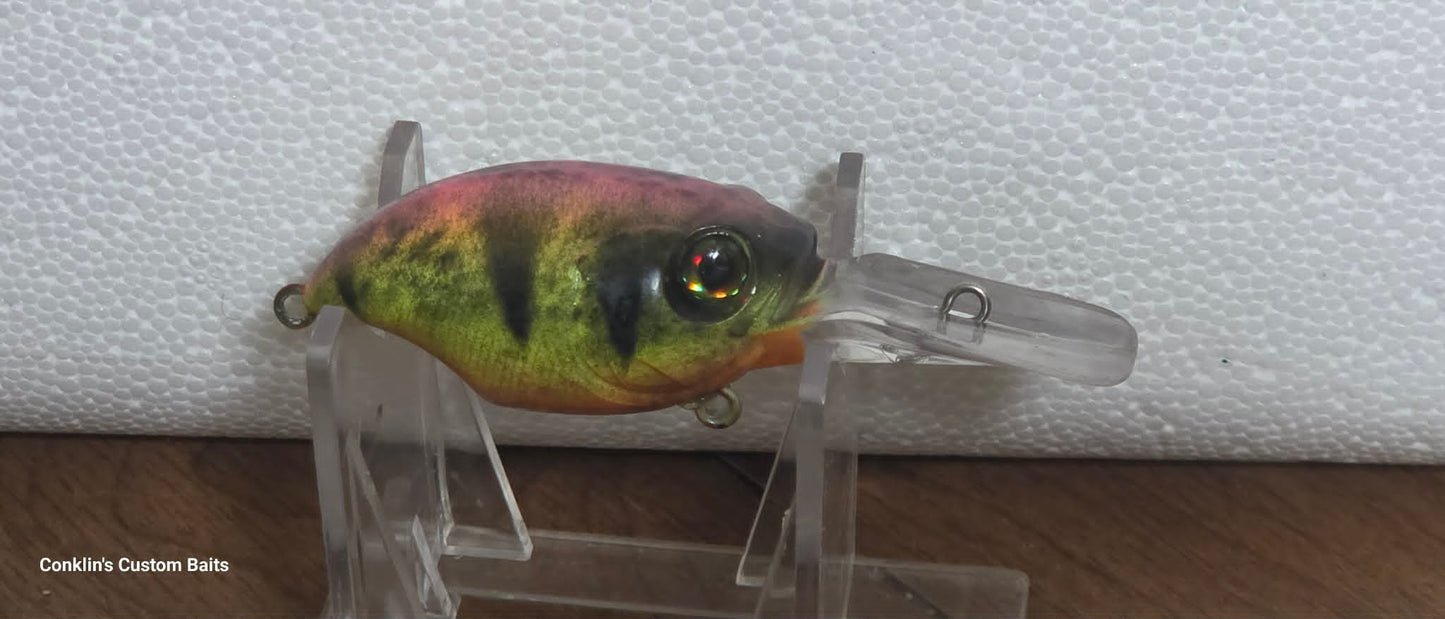 CCB Wiggle Griffon