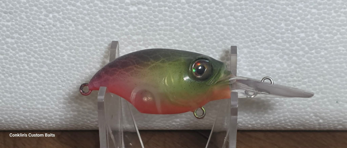 CCB Wiggle Griffon