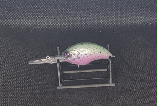 DRZ in Rainbow Trout